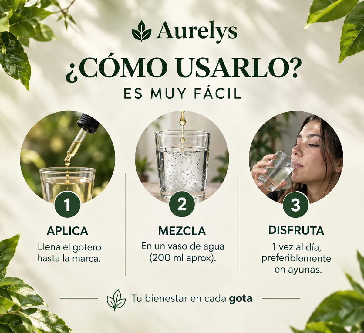 🌿 AURELYS — DRENAJE LINFÁTICO
